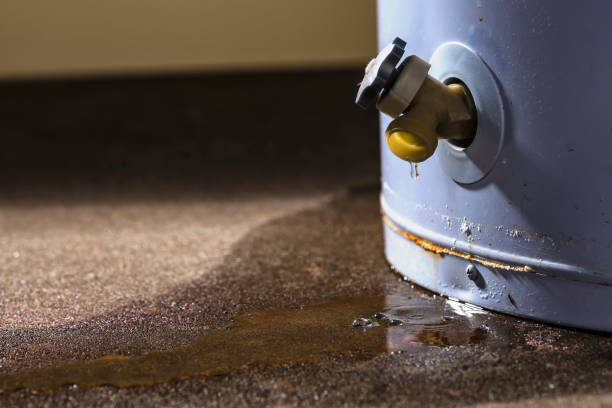 Best Fire Damage Restoration  in Chapel Hill, NC