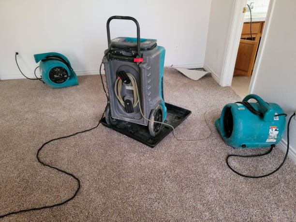 Best Flood damage cleanup  in Chapel Hill, NC