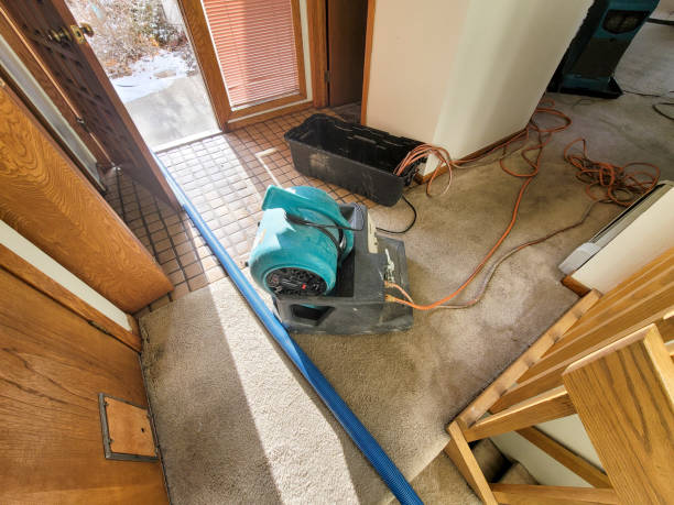 Best Flood restoration services  in Chapel Hill, NC