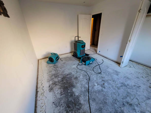 Best Sewage cleanup and water damage restoration  in Chapel Hill, NC