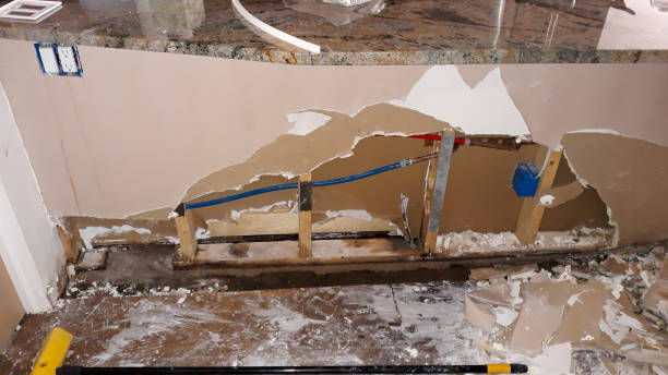 Best Local water damage restoration  in Chapel Hill, NC