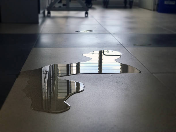 Best Commercial water damage restoration  in Chapel Hill, NC