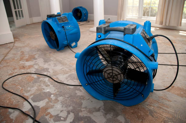 Best 24-hour water damage restoration  in Chapel Hill, NC