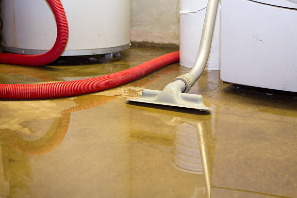 Best 24/7 water damage repair  in Chapel Hill, NC
