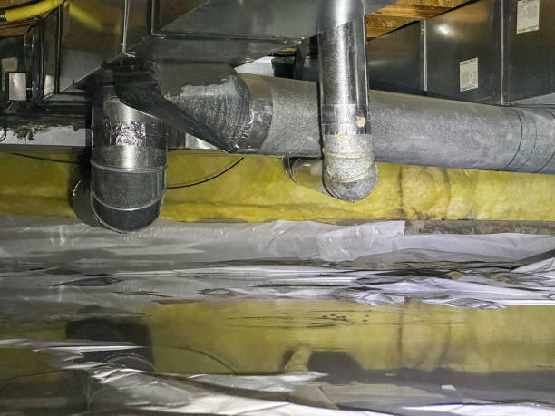 Best Basement water damage restoration  in Chapel Hill, NC