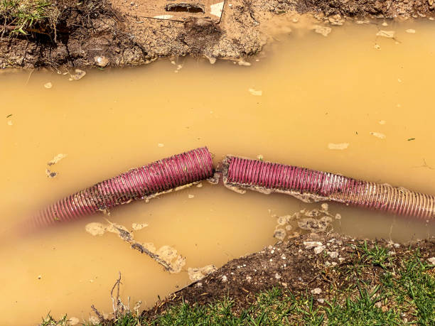 Sewage cleanup and water damage restoration in NC